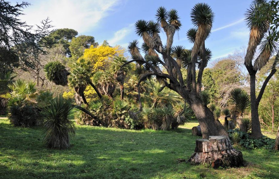 Jardin Botanique de la Villa Thuret, Antibes, France
